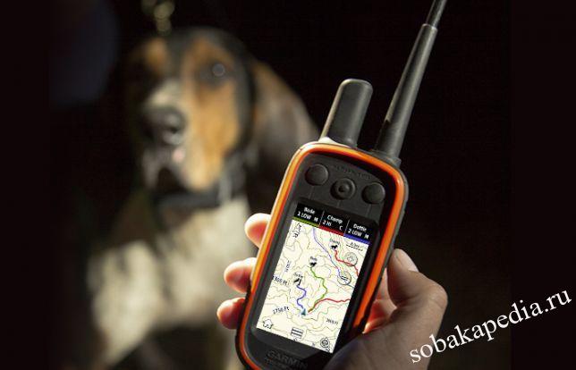 ошейник с GPS навигатором для собак