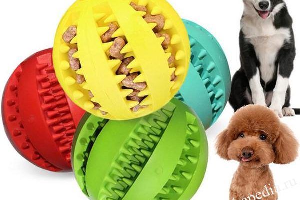 самые интересные игрушки для собак