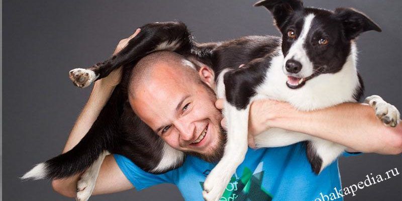 Как научить вашу собаку прыгать через вашу спину